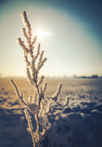 Winter scenery Winter scenery